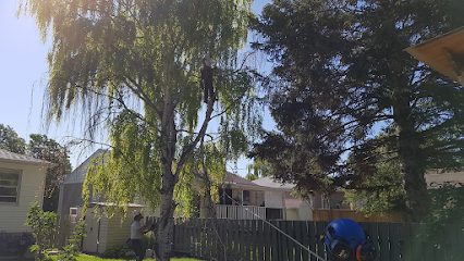 Guardian Tree Services – Lethbridge