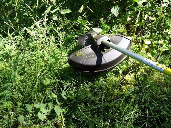 R & R Lawn Care