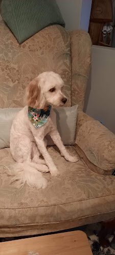 Puppy Love Grooming Salon