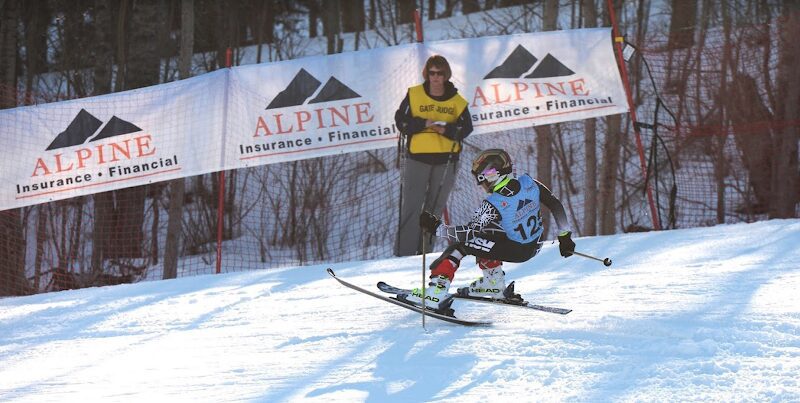 Alpine Insurance & Financial Inc