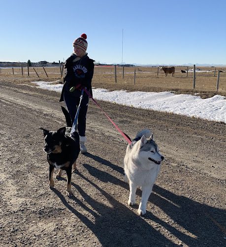 Furever Friend Pet Care