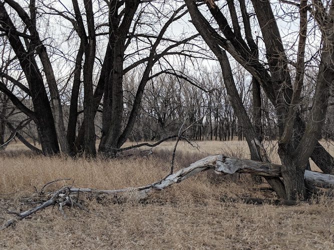 Elizabeth Hall Wetlands