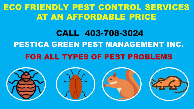 Pestica Green Pest Control Calgary