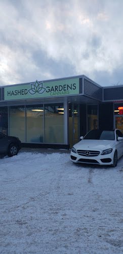 Hashed Gardens Cannabis