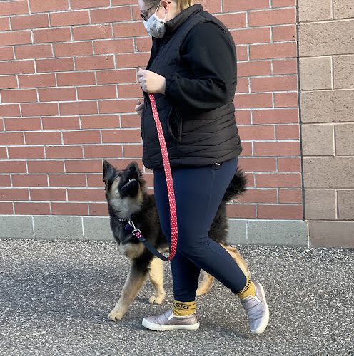 Muddy Paws Dog Training