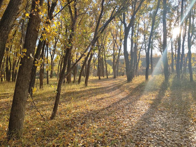 Old Man Disc Golf Course