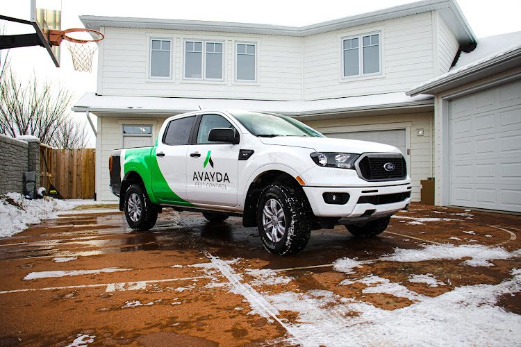 Avayda Pest Control