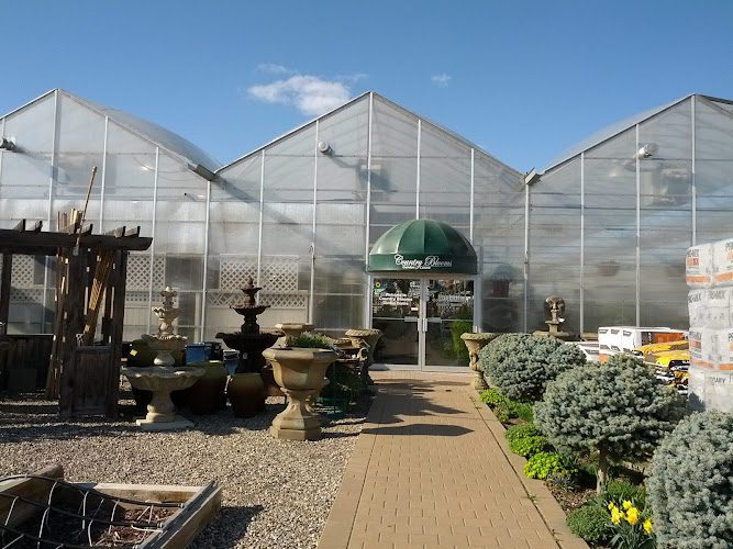 Country Blooms Garden Centre